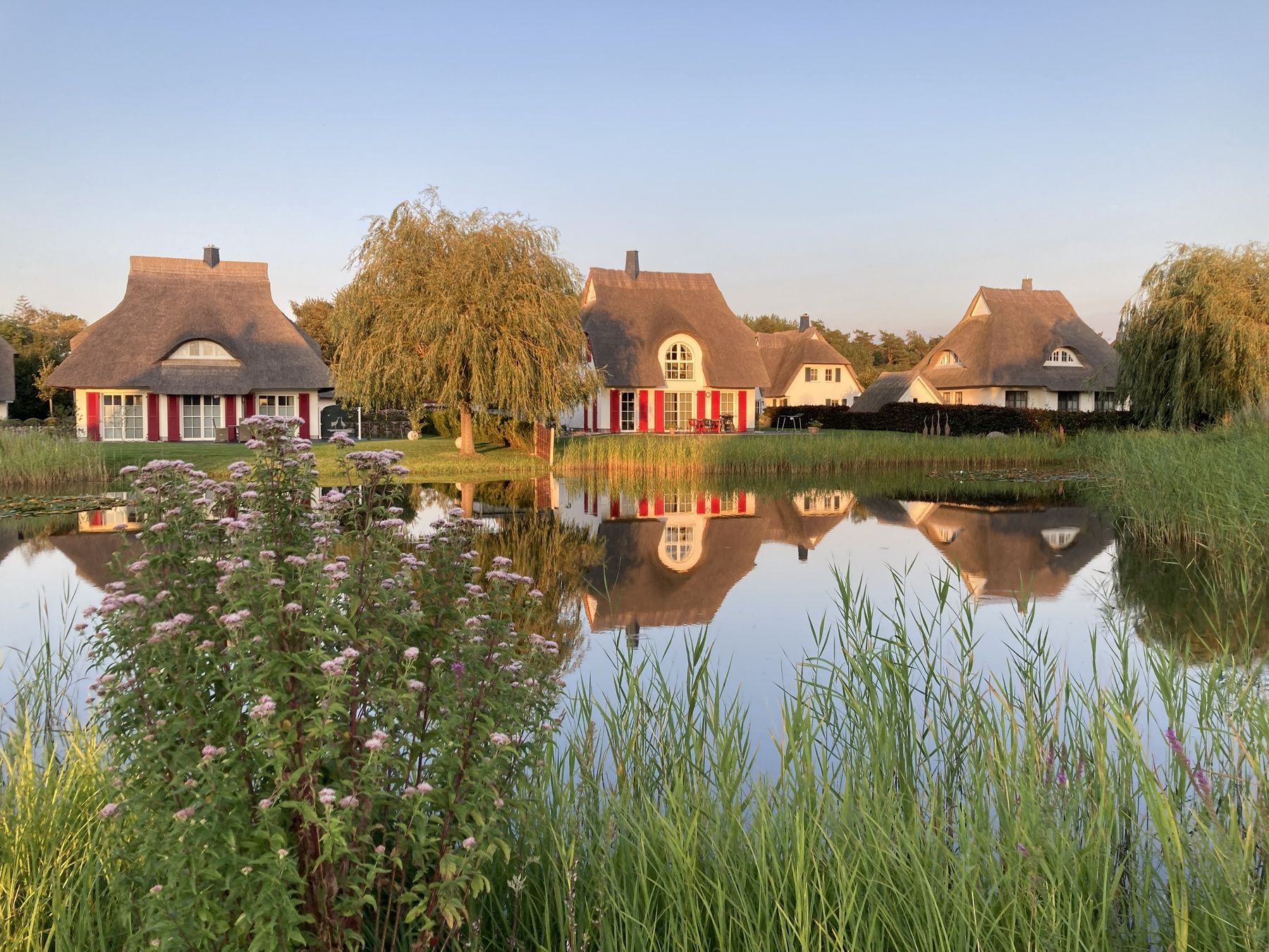 Reetdachhäuser spiegeln sich im Teich der Ferienhausanlage